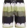 Protest Badeshorts CITY JR In Artichoke Green 8