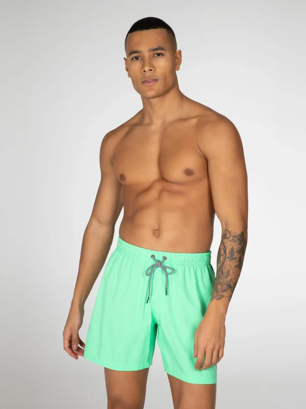 Protest Beachshort “ DAVE In Poison Green 3