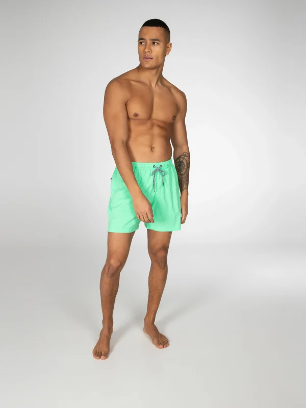 Protest Beachshort “ DAVE In Poison Green 4