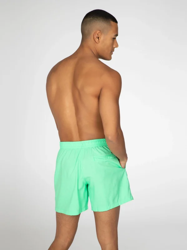 Protest Beachshort “ DAVE In Poison Green 5