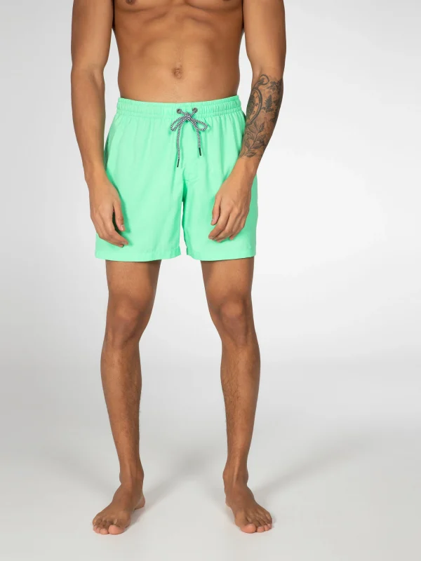 Protest Beachshort “ DAVE In Poison Green 7