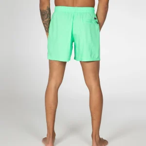 Protest Beachshort “ DAVE In Poison Green 22