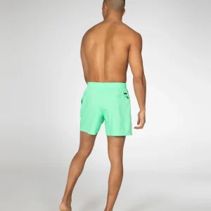 Protest Beachshort “ DAVE In Poison Green 24