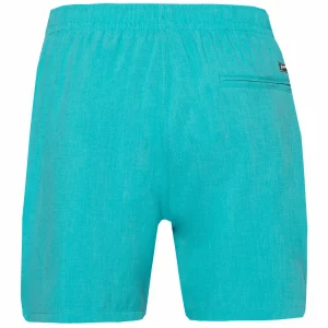 Protest Beachshort “ DAVE In Sea Bay 18
