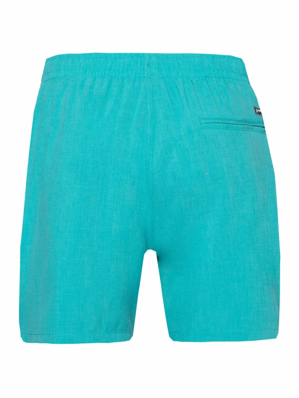 Protest Beachshort “ DAVE In Sea Bay 6
