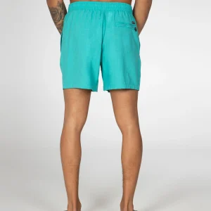 Protest Beachshort “ DAVE In Sea Bay 22