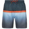 Protest Beachshort “ ERWIN In Oxford Blue 29