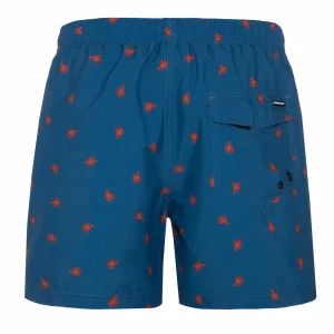 Protest Beachshort “ PRTAAIDEN In Airforces 16
