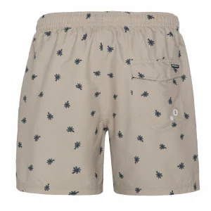 Protest Beachshort “ PRTAAIDEN In Desert Stonebeige 16
