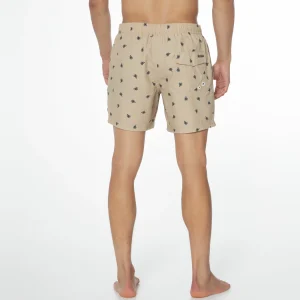 Protest Beachshort “ PRTAAIDEN In Desert Stonebeige 22