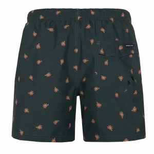 Protest Beachshort “ PRTAAIDEN In Huntergreen 16