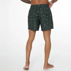 Protest Beachshort “ PRTAAIDEN In Huntergreen 22