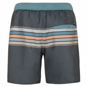 Protest Beachshort “ PRTKALFORD In Huntergreen 16
