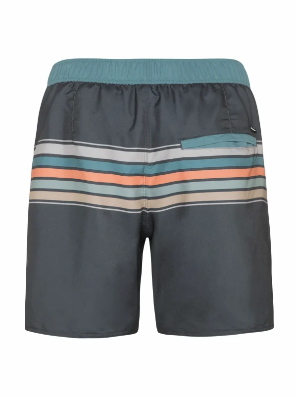 Protest Beachshort “ PRTKALFORD In Huntergreen 5
