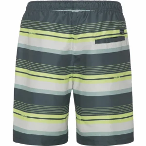 Protest Beachshort “ PRTLANKSTON In Huntergreen 16