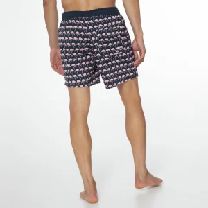 Protest Beachshort “ PRTOHLANDER In Night Skyblue 22