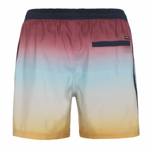 Protest Beachshort “ PRTYOUENN In Roan Rougebordeaux 16