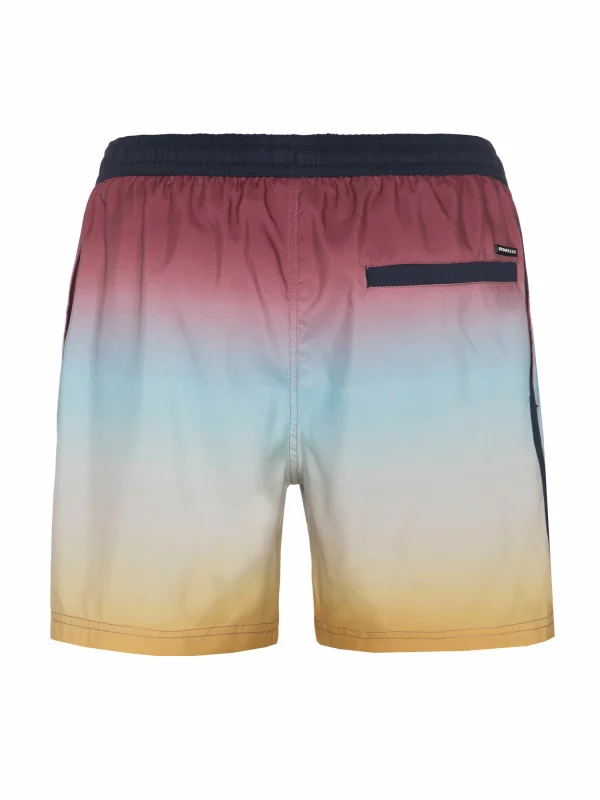 Protest Beachshort “ PRTYOUENN In Roan Rougebordeaux 5