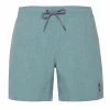 Protest Beachshorts “ DAVEY In Arcticgreen 25