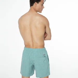 Protest Beachshorts “ DAVEY In Arcticgreen 17