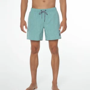 Protest Beachshorts “ DAVEY In Arcticgreen 21