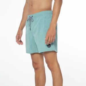 Protest Beachshorts “ DAVEY In Arcticgreen 23