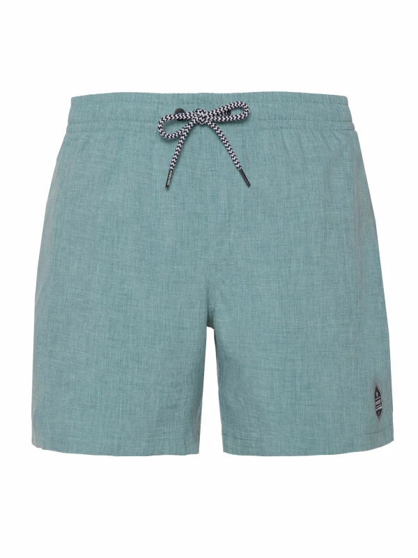 Protest Beachshorts “ DAVEY In Arcticgreen 1