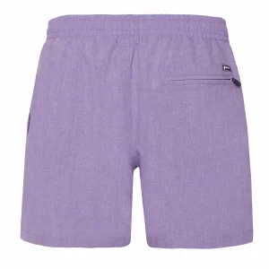 Protest Beachshorts “ DAVEY In Lilac 19