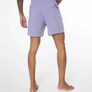 Protest Beachshorts “ DAVEY In Lilac 25