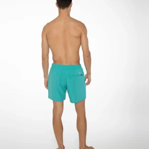 Protest Beachshorts “ DAVEY In Sea Bay 27