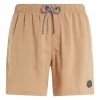 Protest Beachshorts “ DAVEY In SealBeige 23