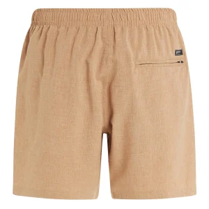 Protest Beachshorts “ DAVEY In SealBeige 17