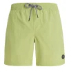 Protest Beachshorts “ FASTER In AlgaeGreen 23
