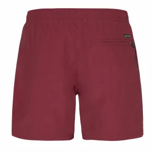 Protest Beachshorts “ FASTER In Dark Cherry 19