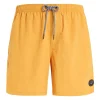 Protest Beachshorts “ FASTER In Tumericyellow 23