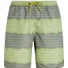 Protest Beachshorts “ PRTAUCKLEY In AlgaeGreen 23