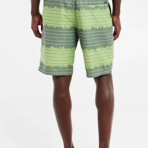 Protest Beachshorts “ PRTAUCKLEY In AlgaeGreen 15
