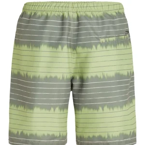 Protest Beachshorts “ PRTAUCKLEY In AlgaeGreen 17