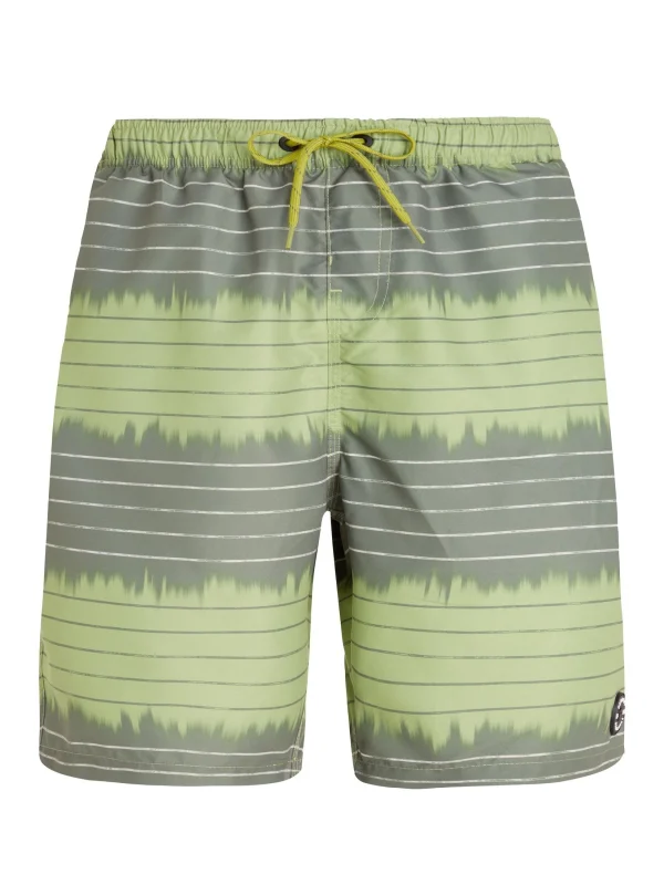 Protest Beachshorts “ PRTAUCKLEY In AlgaeGreen 1