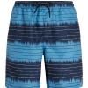 Protest Beachshorts “ PRTAUCKLEY In Night Skyblue 23