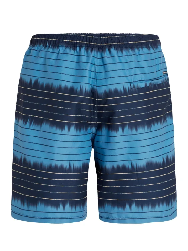 Protest Beachshorts “ PRTAUCKLEY In Night Skyblue 6