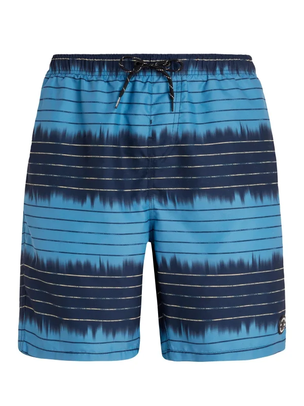 Protest Beachshorts “ PRTAUCKLEY In Night Skyblue 1