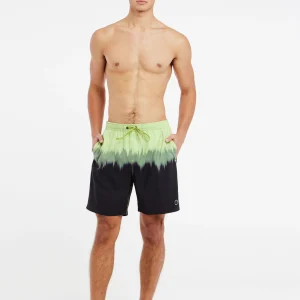 Protest Beachshorts “ PRTCAGNES In AlgaeGreen 13
