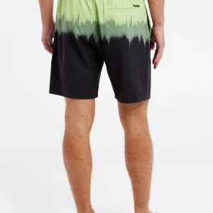 Protest Beachshorts “ PRTCAGNES In AlgaeGreen 15