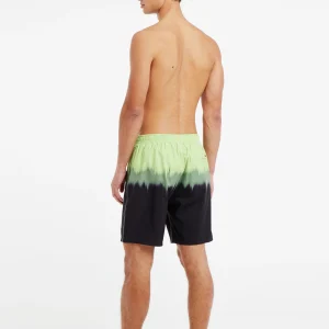 Protest Beachshorts “ PRTCAGNES In AlgaeGreen 21