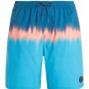 Protest Beachshorts “ PRTCAGNES In JayBlue 26