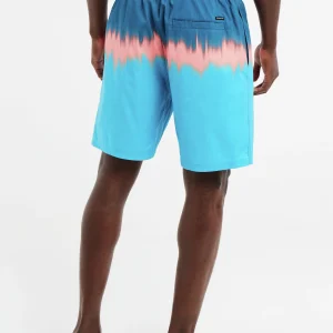 Protest Beachshorts “ PRTCAGNES In JayBlue 15