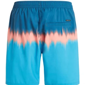 Protest Beachshorts “ PRTCAGNES In JayBlue 17