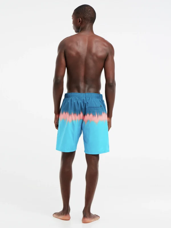 Protest Beachshorts “ PRTCAGNES In JayBlue 8
