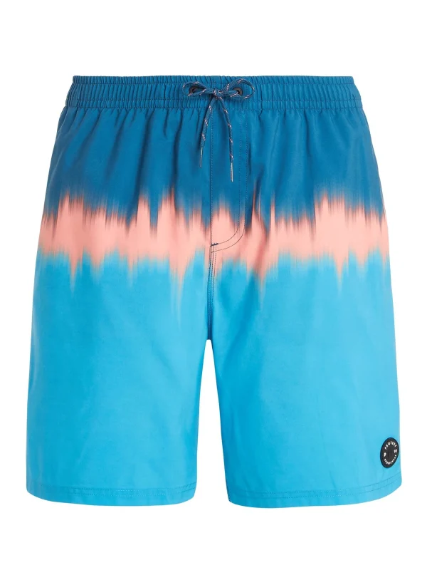 Protest Beachshorts “ PRTCAGNES In JayBlue 1